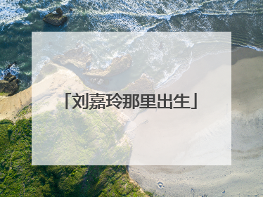 刘嘉玲那里出生