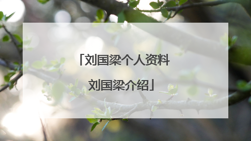 刘国梁个人资料 刘国梁介绍