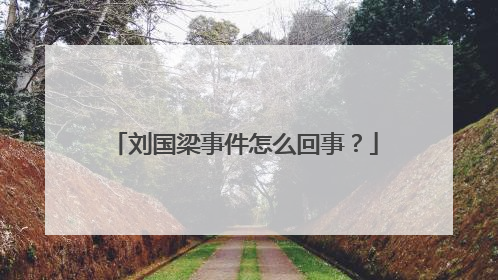 刘国梁事件怎么回事?