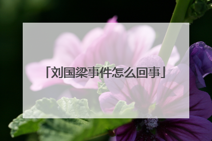 刘国梁事件怎么回事