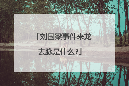 刘国梁事件来龙去脉是什么?