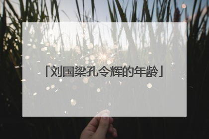 刘国梁孔令辉的年龄