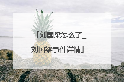 刘国梁怎么了_刘国梁事件详情