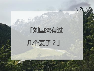 刘国梁有过几个妻子？