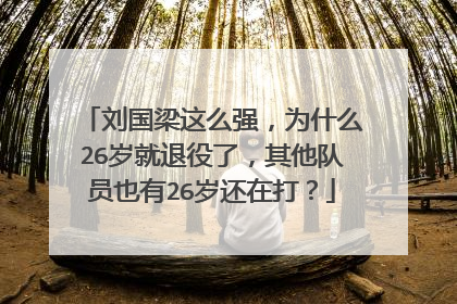 刘国梁这么强,为什么26岁就退役了,其他队员也有26岁还在打?