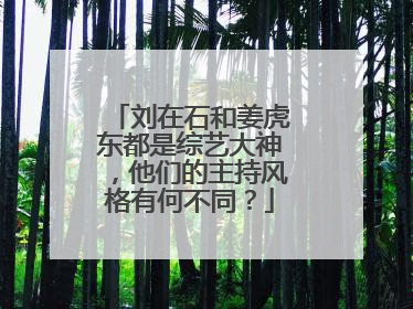 刘在石和姜虎东都是综艺大神，他们的主持风格有何不同？