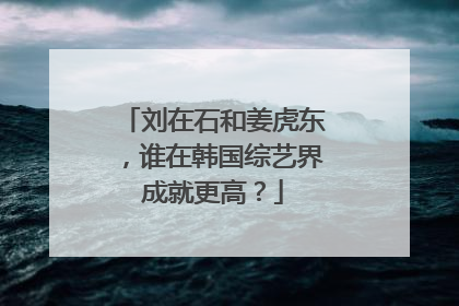 刘在石和姜虎东,谁在韩国综艺界成就更高?