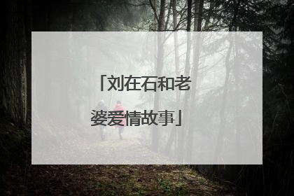 刘在石和老婆爱情故事