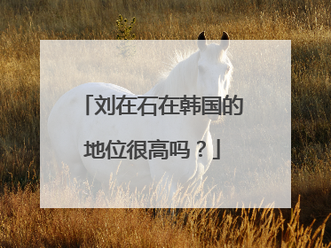 刘在石在韩国的地位很高吗？
