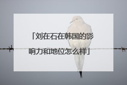 刘在石在韩国的影响力和地位怎么样