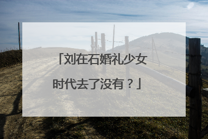 刘在石婚礼少女时代去了没有？
