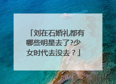 刘在石婚礼都有哪些明星去了?少女时代去没去？