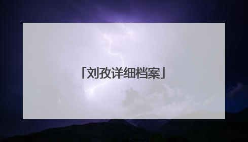 刘孜详细档案