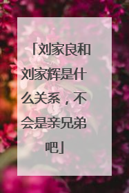 刘家良和刘家辉是什么关系,不会是亲兄弟吧