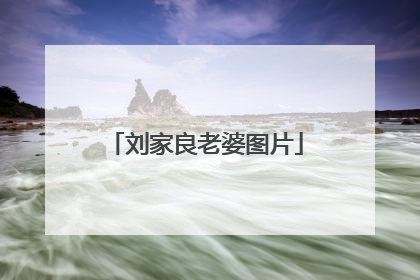 刘家良老婆图片