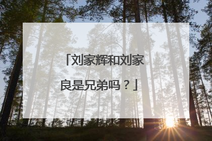 刘家辉和刘家良是兄弟吗？