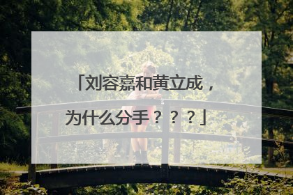 刘容嘉和黄立成,为什么分手???