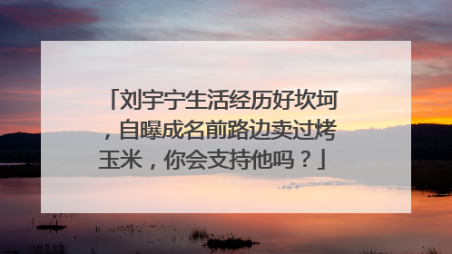 刘宇宁生活经历好坎坷,自曝成名前路边卖过烤玉米,你会支持他吗?