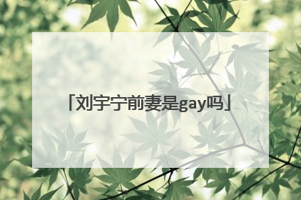 刘宇宁前妻是gay吗