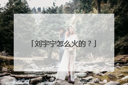 刘宇宁怎么火的？