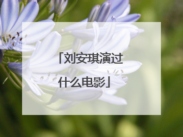 刘安琪演过什么电影