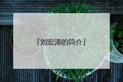 刘宏涛的简介
