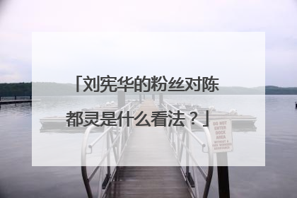 刘宪华的粉丝对陈都灵是什么看法？