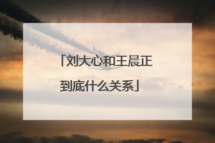 刘大心和王晨正到底什么关系