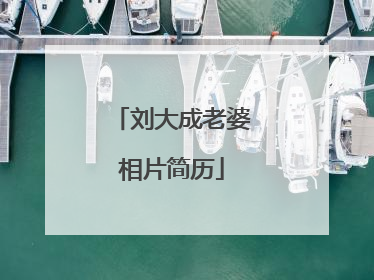 刘大成老婆相片简历