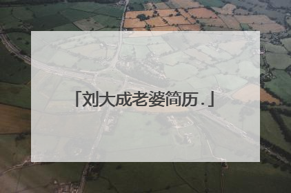 刘大成老婆简历.