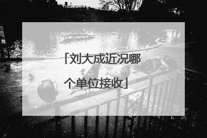 刘大成近况哪个单位接收