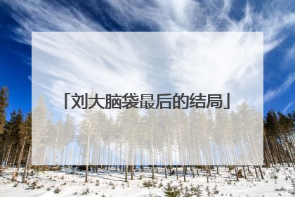 刘大脑袋最后的结局