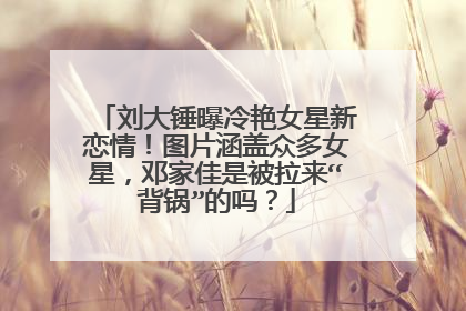 刘大锤曝冷艳女星新恋情!图片涵盖众多女星,邓家佳是被拉来“背锅”的吗?