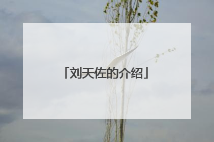 刘天佐的介绍