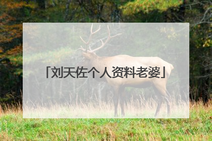 刘天佐个人资料老婆