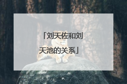 刘天佐和刘天池的关系