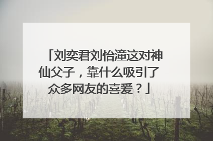刘奕君刘怡潼这对神仙父子,靠什么吸引了众多网友的喜爱?