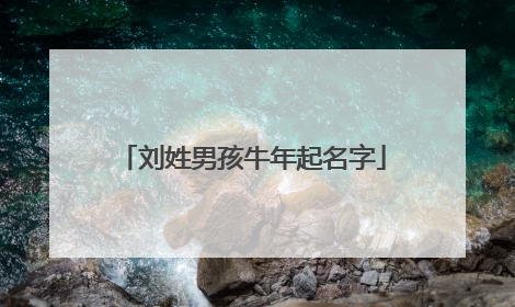 刘姓男孩牛年起名字