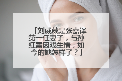 刘威葳是张嘉译第一任妻子，与孙红雷因戏生情，如今的她怎样了？