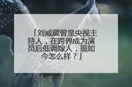刘威葳曾是央视主持人,在跨界成为演员后低调嫁人,现如今怎么样?