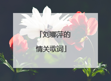 刘娜萍的情关歌词