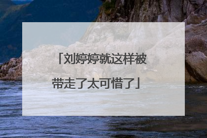 刘婷婷就这样被带走了太可惜了