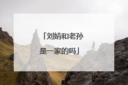 刘婧和老孙是一家的吗