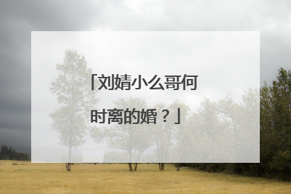 刘婧小么哥何时离的婚？