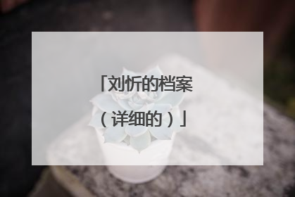 刘忻的档案（详细的）