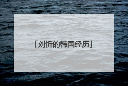 刘忻的韩国经历