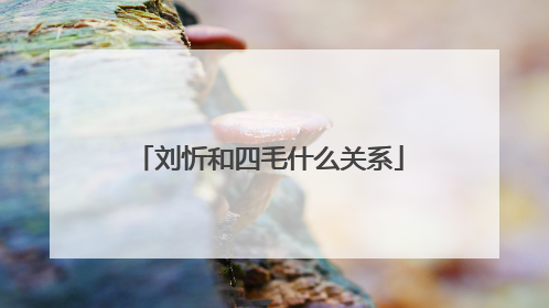 刘忻和四毛什么关系