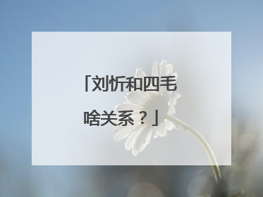 刘忻和四毛啥关系？