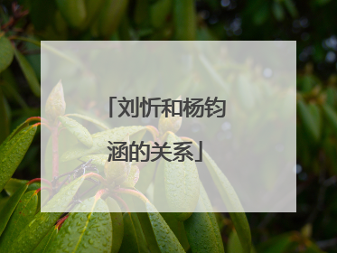 刘忻和杨钧涵的关系