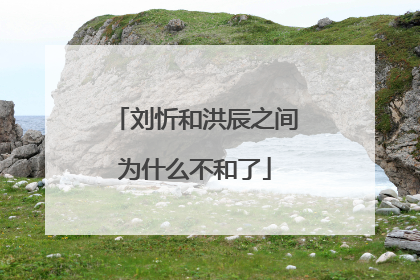 刘忻和洪辰之间为什么不和了